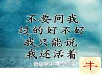 丽水市雅居宜雅龙家具商行