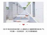 丽水市雅居宜雅龙家具商行