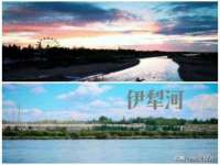 丽水市雅居宜雅龙家具商行