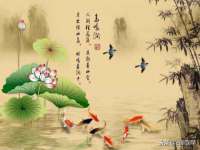 丽水市雅居宜雅龙家具商行