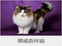 丽水市雅居宜雅龙家具商行