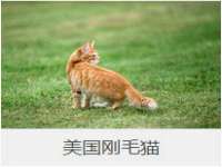 丽水市雅居宜雅龙家具商行
