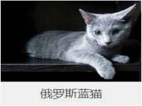 丽水市雅居宜雅龙家具商行