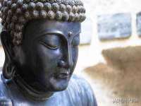 丽水市雅居宜雅龙家具商行