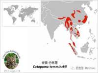丽水市雅居宜雅龙家具商行