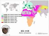 丽水市雅居宜雅龙家具商行