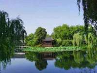 丽水市雅居宜雅龙家具商行