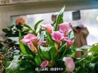 丽水市雅居宜雅龙家具商行