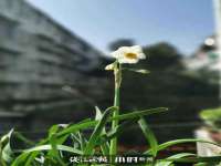 丽水市雅居宜雅龙家具商行