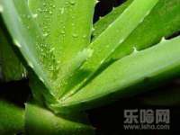 丽水市雅居宜雅龙家具商行