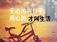 丽水市雅居宜雅龙家具商行