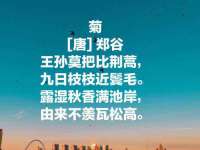丽水市雅居宜雅龙家具商行