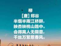 丽水市雅居宜雅龙家具商行