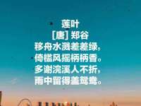 丽水市雅居宜雅龙家具商行
