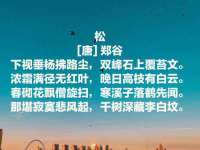 丽水市雅居宜雅龙家具商行