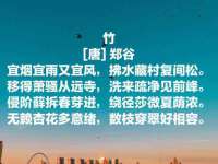 丽水市雅居宜雅龙家具商行