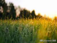丽水市雅居宜雅龙家具商行