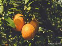 丽水市雅居宜雅龙家具商行