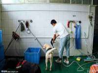 丽水市雅居宜雅龙家具商行