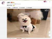 丽水市雅居宜雅龙家具商行