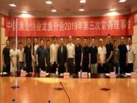 丽水市雅居宜雅龙家具商行