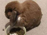 丽水市雅居宜雅龙家具商行