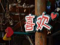 丽水市雅居宜雅龙家具商行