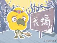 丽水市雅居宜雅龙家具商行