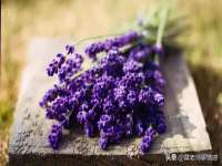 丽水市雅居宜雅龙家具商行